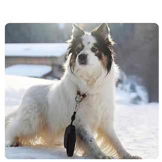 DOCO® All Day Adventure Retractable Dog Leash - Reflective Tape, Anti-Slip, Tangle-Free Secure Control -Dogs up to 22lbs (Small, Black)