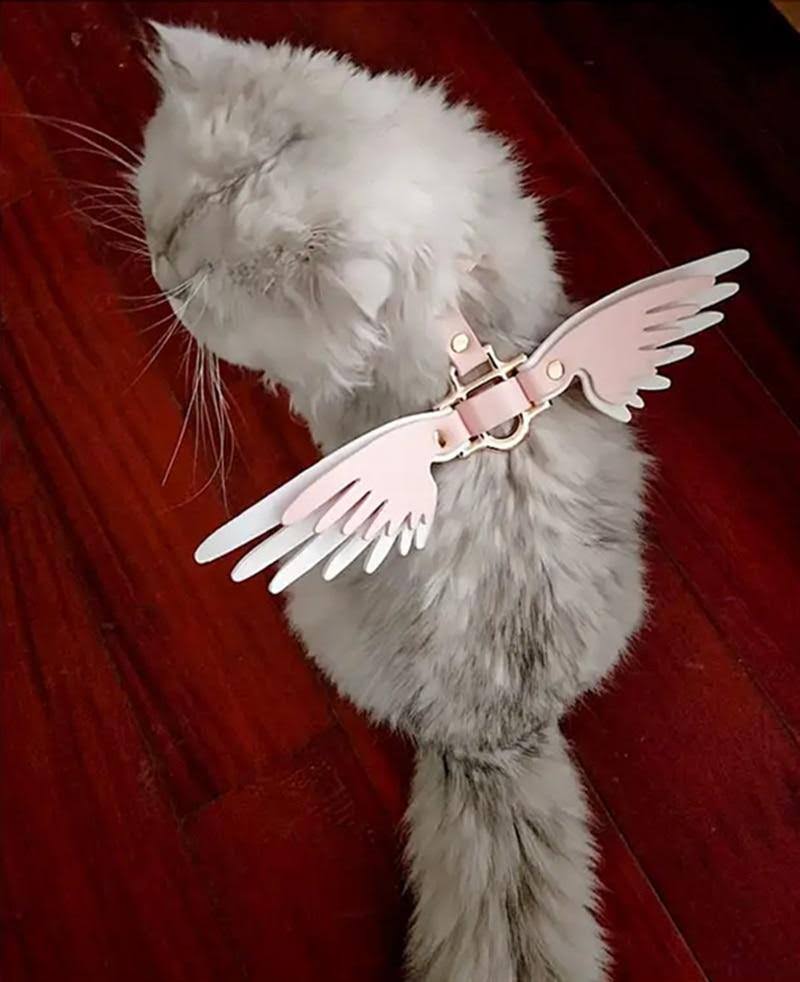 Teddy Bears Angel Network Red traction rope skin pink strap Marges Cat item ring external use pet collar wings cat leash harness