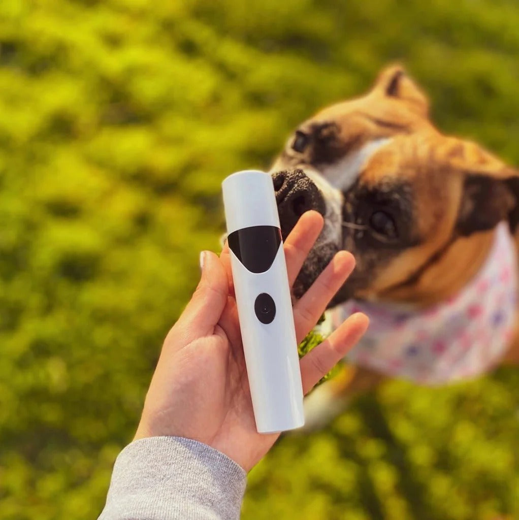 無痛 USB 充電狗指甲研磨器可充電寵物指甲刀靜音電動狗貓爪子指甲美容修剪工具